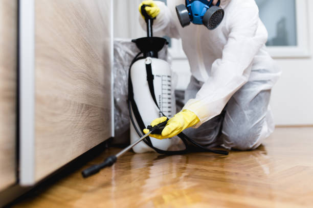 Best Best Pest Control Companies  in Ringgold, GA