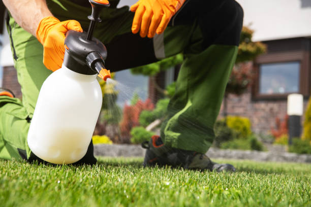 Best Exterminator Services  in Ringgold, GA