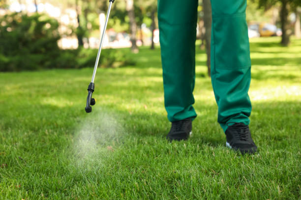 Best Local Pest Control Services  in Ringgold, GA
