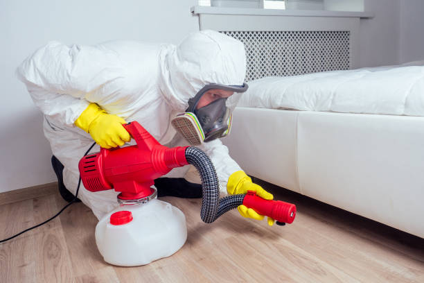 Best Wildlife Control Services  in Ringgold, GA