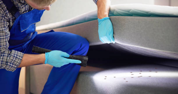 Best Mosquito Control Services  in Ringgold, GA