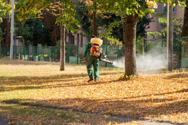 Best Wasp Removal Services  in Ringgold, GA