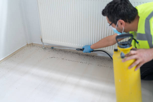 Best Residential Pest Control  in Ringgold, GA